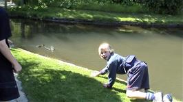 Naturalist Louis Burgess creeps on the wild ducks in the Tides Reach Hotel, South Sands